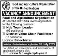 Food and Agriculture Organization FAO Jobs 2022