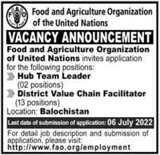 Food and Agriculture Organization FAO Jobs 2022