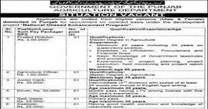 Agriculture Department Punjab Jobs 2022 / www.agripunjab.gov.pk