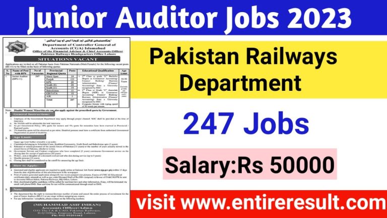 Junior Auditor Jobs 2023- Apply online through www.njp.govt.pk